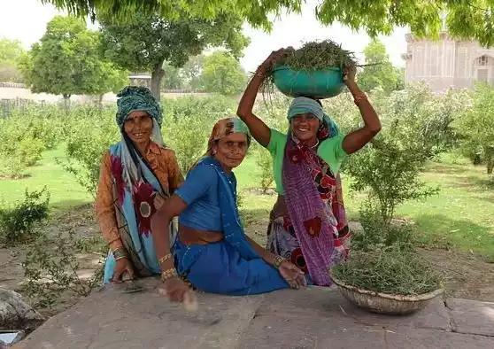 Mahila Udyam Nidhi